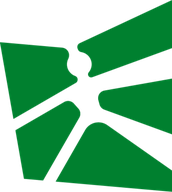 HSG